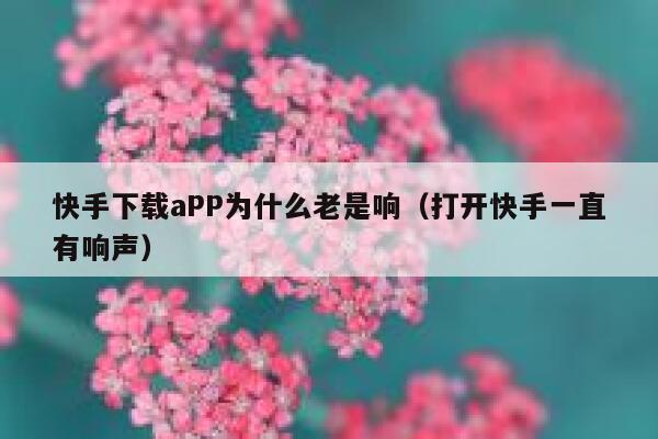 快手下载aPP为什么老是响（打开快手一直有响声） 第1张
