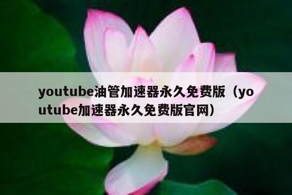 youtube油管加速器永久免费版（youtube加速器永久免费版官网） 第1张
