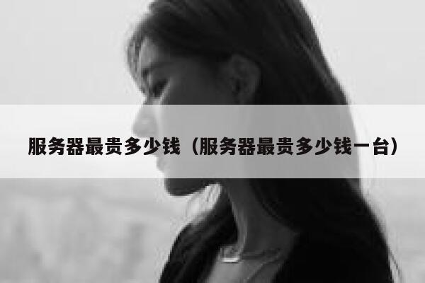 服务器最贵多少钱（服务器最贵多少钱一台） 第1张