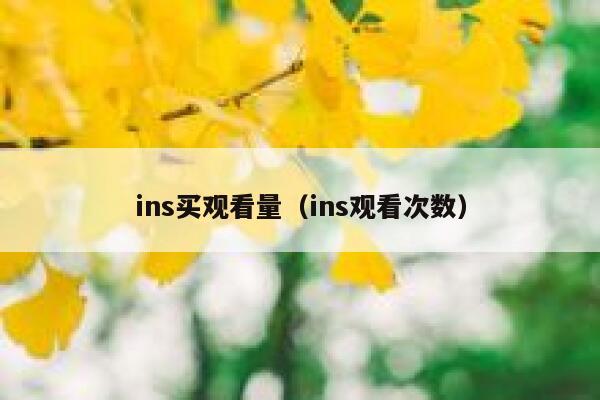 ins买观看量（ins观看次数） 第1张