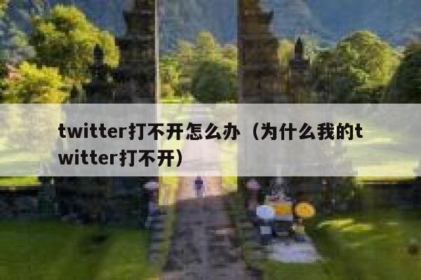twitter打不开怎么办（为什么我的twitter打不开） 第1张