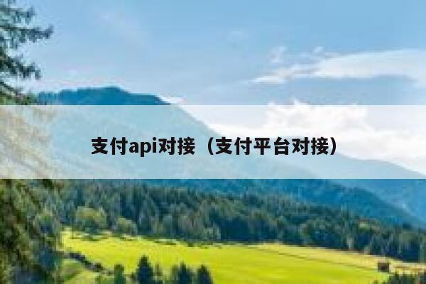 支付api对接（支付平台对接） 第1张