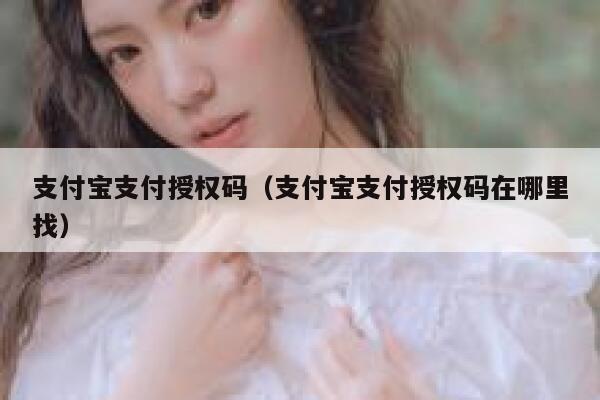 支付宝支付授权码（支付宝支付授权码在哪里找） 第1张