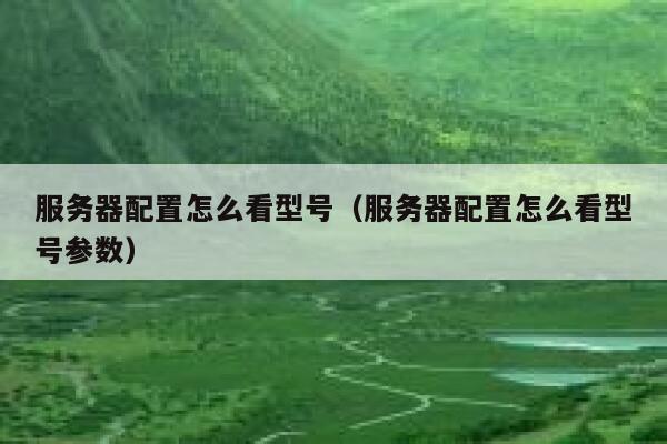 服务器配置怎么看型号（服务器配置怎么看型号参数） 第1张