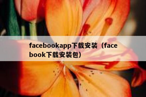 facebookapp下载安装（facebook下载安装包） 第1张