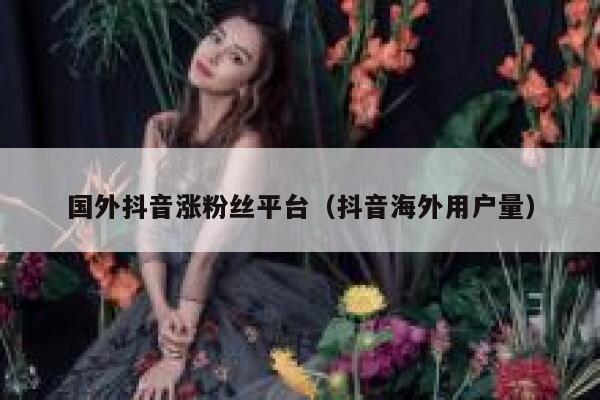 国外抖音涨粉丝平台（抖音海外用户量） 第1张