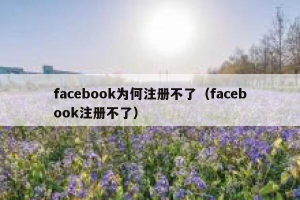 facebook为何注册不了（facebook注册不了） 第1张