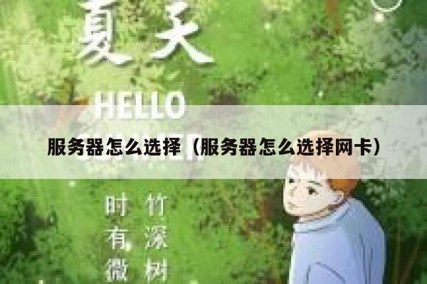 服务器怎么选择（服务器怎么选择网卡） 第1张