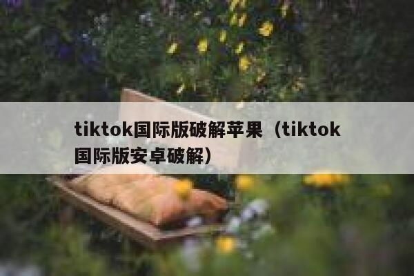 tiktok国际版破解苹果（tiktok国际版安卓破解） 第1张
