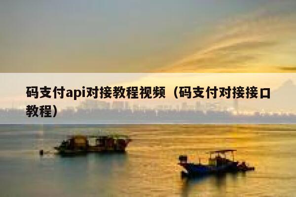 码支付api对接教程视频（码支付对接接口教程） 第1张