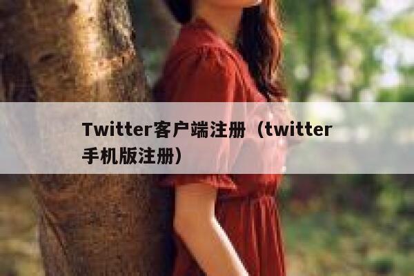 Twitter客户端注册（twitter手机版注册） 第1张