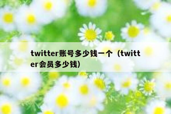 twitter账号多少钱一个（twitter会员多少钱） 第1张