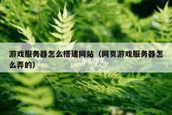游戏服务器怎么搭建网站（网页游戏服务器怎么弄的） 第1张