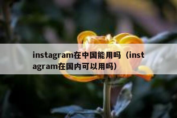 instagram在中国能用吗（instagram在国内可以用吗） 第1张