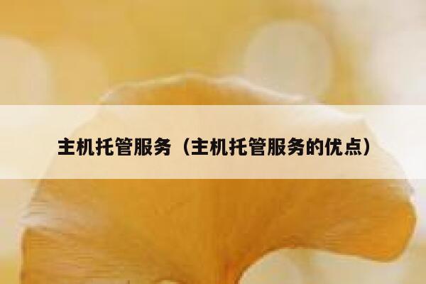 主机托管服务（主机托管服务的优点） 第1张