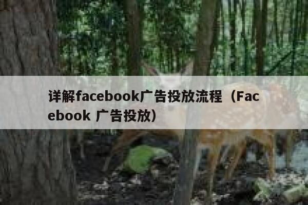 详解facebook广告投放流程（Facebook 广告投放） 第1张