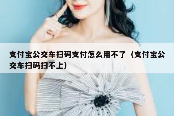 支付宝公交车扫码支付怎么用不了（支付宝公交车扫码扫不上） 第1张