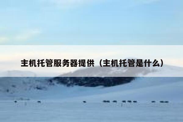 主机托管服务器提供（主机托管是什么） 第1张