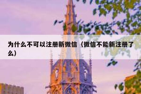 为什么不可以注册新微信（微信不能新注册了么） 第1张