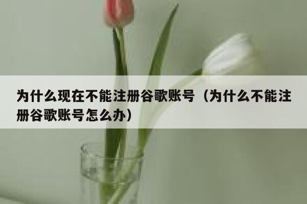 为什么现在不能注册谷歌账号（为什么不能注册谷歌账号怎么办） 第1张