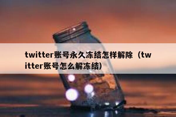 twitter账号永久冻结怎样解除（twitter账号怎么解冻结） 第1张