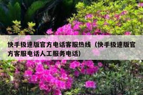 快手极速版官方电话客服热线（快手极速版官方客服电话人工服务电话） 第1张