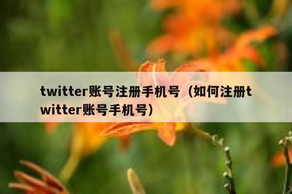 twitter账号注册手机号（如何注册twitter账号手机号） 第1张