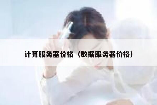 计算服务器价格（数据服务器价格） 第1张