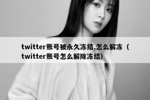 twitter账号被永久冻结,怎么解冻（twitter账号怎么解除冻结） 第1张