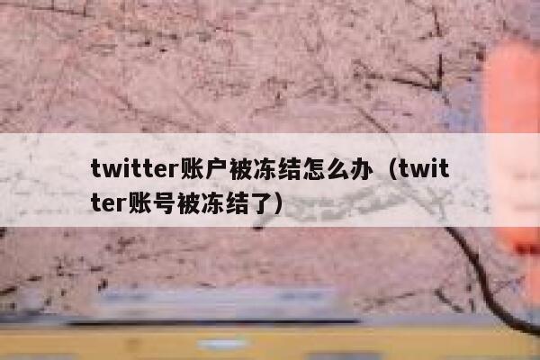 twitter账户被冻结怎么办（twitter账号被冻结了） 第1张