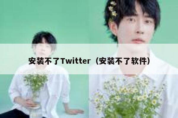 安装不了Twitter（安装不了软件） 第1张
