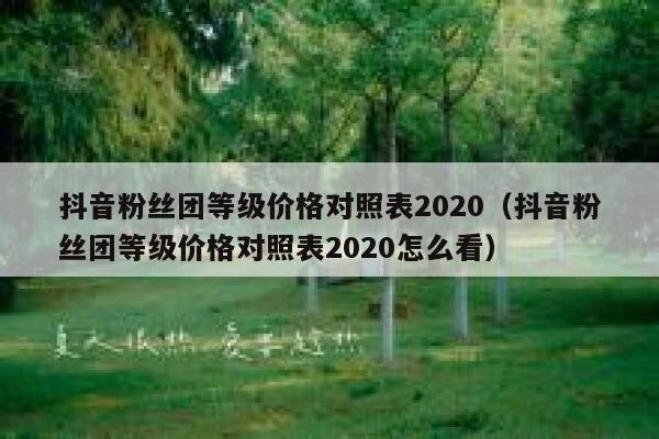 抖音粉丝团等级价格对照表2020（抖音粉丝团等级价格对照表2020怎么看） 第1张