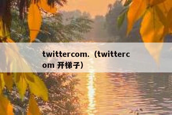 twittercom.（twittercom 开梯子） 第1张