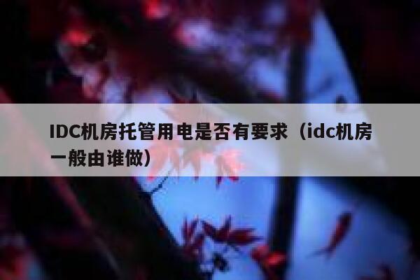 IDC机房托管用电是否有要求（idc机房一般由谁做） 第1张
