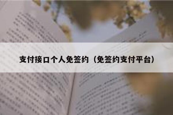 支付接口个人免签约（免签约支付平台） 第1张