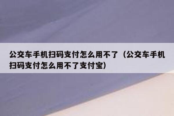 公交车手机扫码支付怎么用不了（公交车手机扫码支付怎么用不了支付宝） 第1张