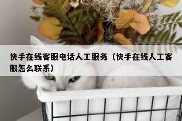 快手在线客服电话人工服务（快手在线人工客服怎么联系） 第1张