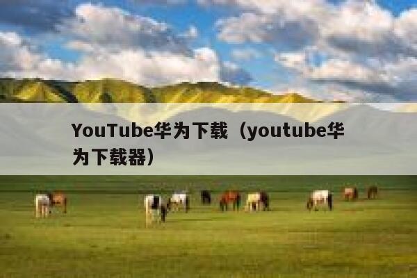 YouTube华为下载（youtube华为下载器） 第1张