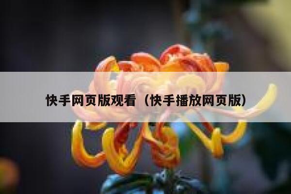 快手网页版观看（快手播放网页版） 第1张