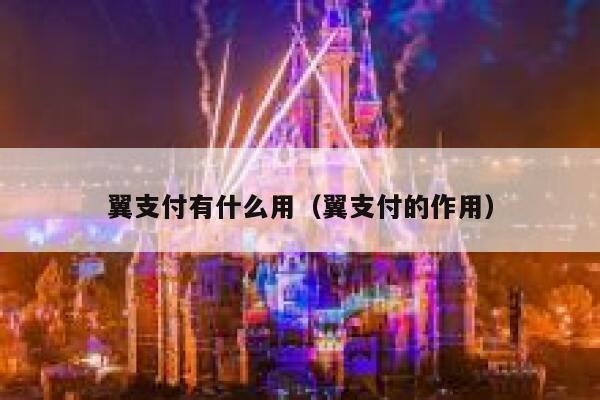 翼支付有什么用（翼支付的作用） 第1张