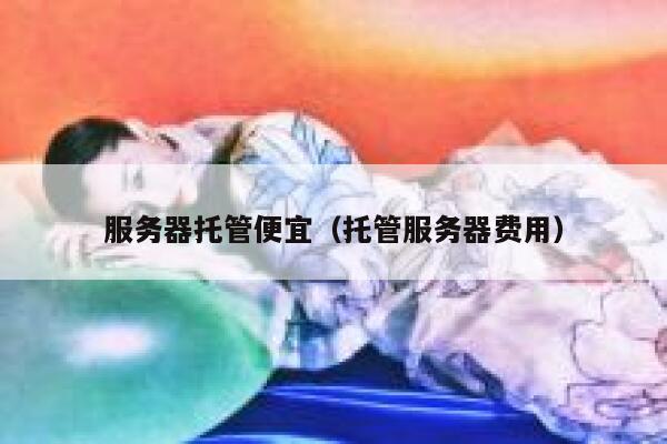 服务器托管便宜（托管服务器费用） 第1张