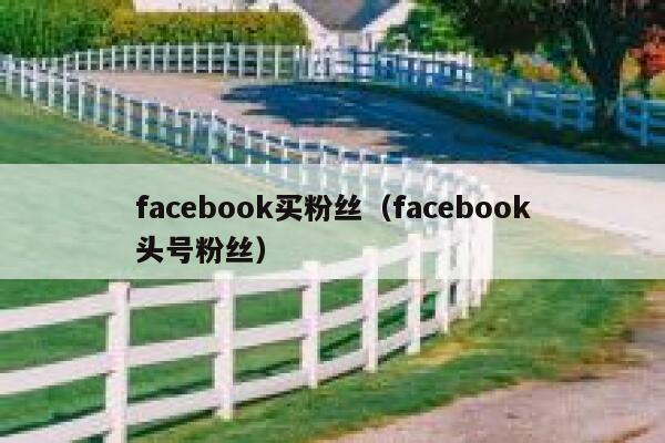 facebook买粉丝（facebook头号粉丝） 第1张