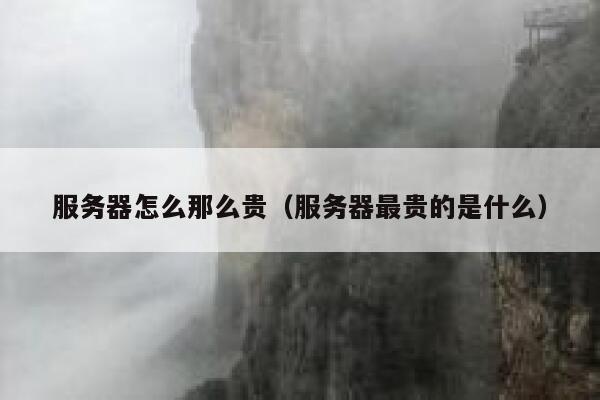 服务器怎么那么贵（服务器最贵的是什么） 第1张