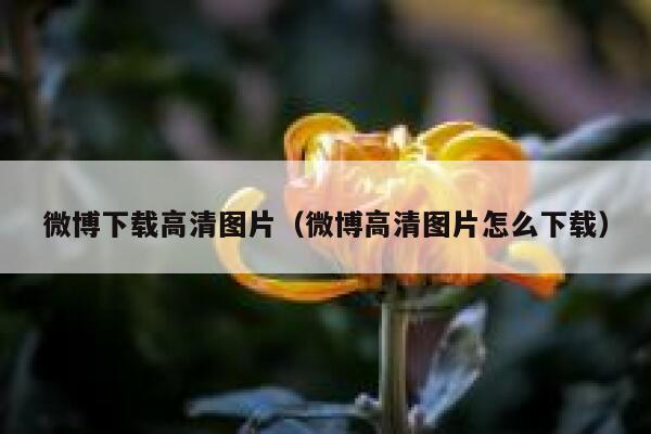 微博下载高清图片（微博高清图片怎么下载） 第1张