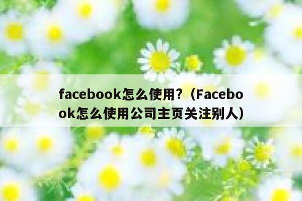 facebook怎么使用?（Facebook怎么使用公司主页关注别人） 第1张