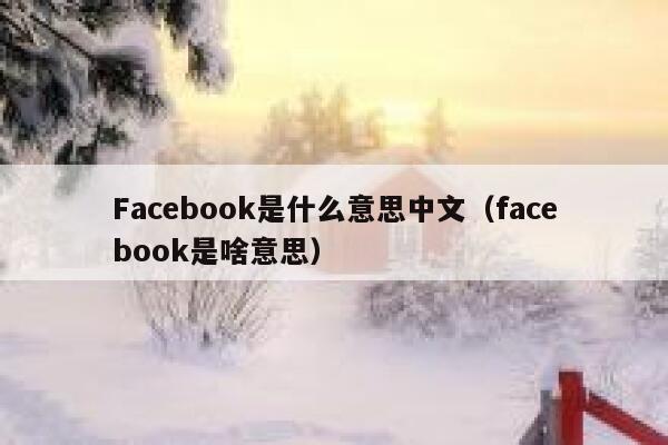 Facebook是什么意思中文（facebook是啥意思） 第1张