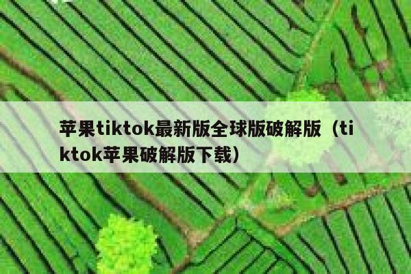 苹果tiktok最新版全球版破解版（tiktok苹果破解版下载） 第1张