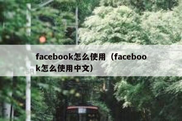 facebook怎么使用（facebook怎么使用中文） 第1张