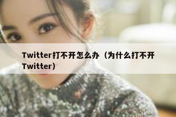 Twitter打不开怎么办（为什么打不开Twitter） 第1张