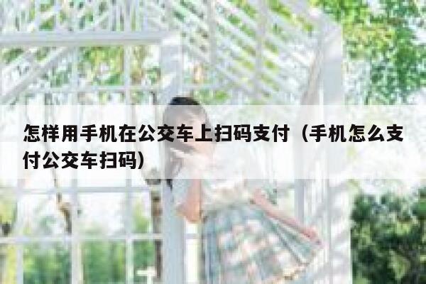 怎样用手机在公交车上扫码支付（手机怎么支付公交车扫码） 第1张